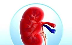 4 Signs of Kidney Yang Deficiency and an Ancient TCM Formula for Kidney Health