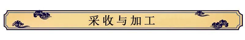 Key Points for Growing Codonopsis (Dang Shen)