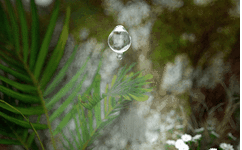 The Huangdi Neijing: Understanding the Origins of All Diseases