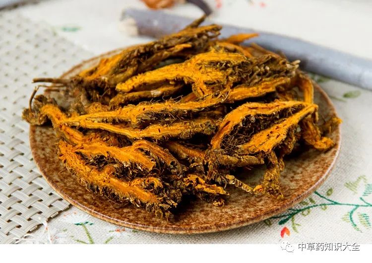 The Efficacy and Functions of Huang Lian (Coptis)