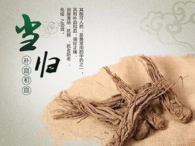 Angelica Sinensis: The Premier Blood Nourishing Herb