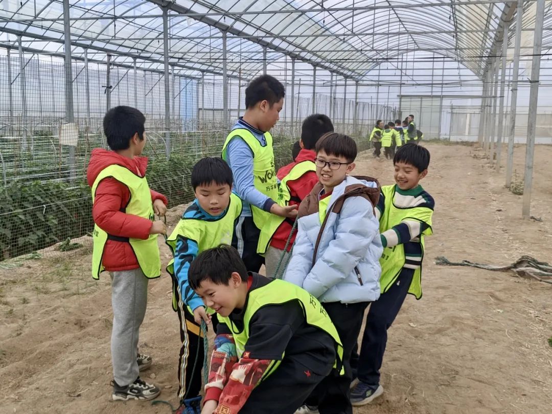 Exploring Medicinal Herbs and Agricultural Experiences: Class 2 of 2020 at Park Primary School Enjoys Springtime in the Fields