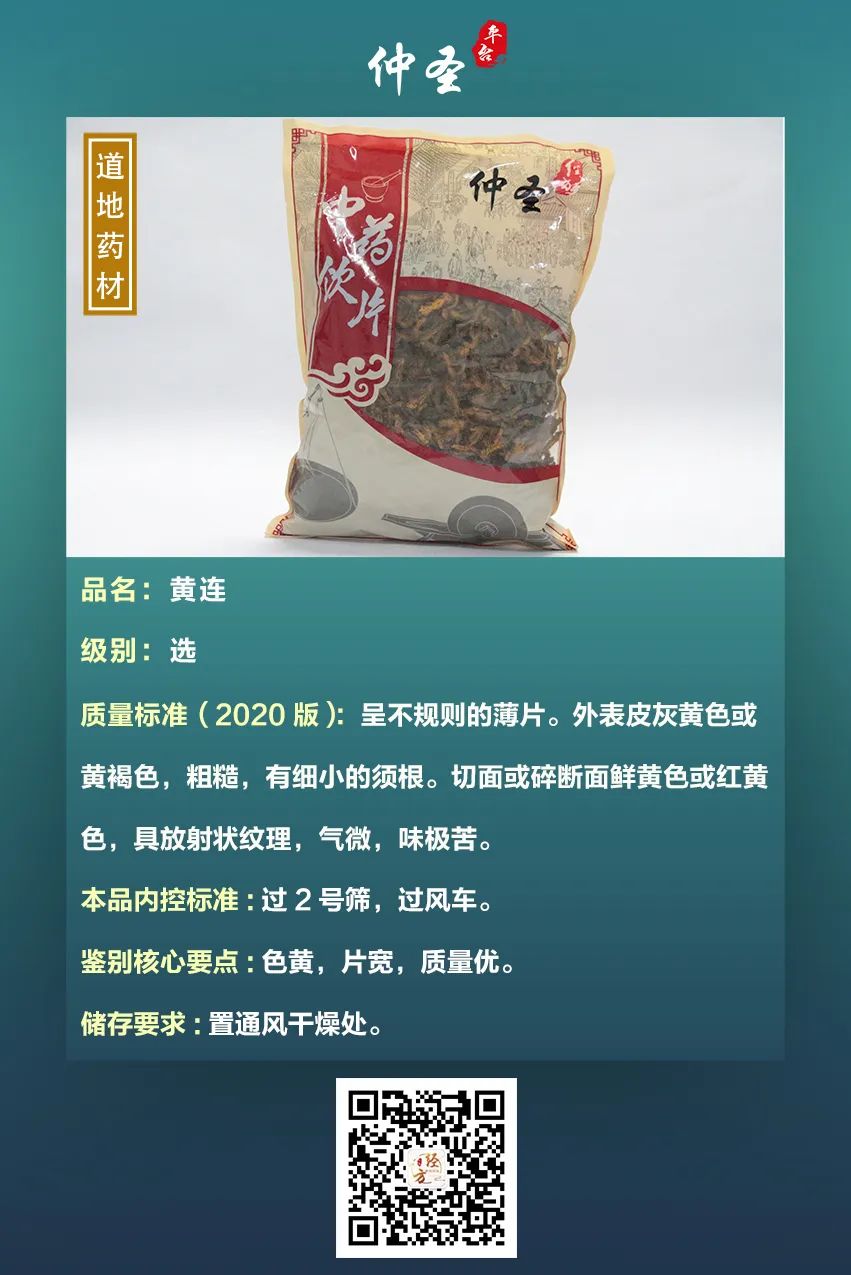 Zhong Sheng's Herbal Insights | The Primary Herb for Treating Diabetes: Huang Lian
