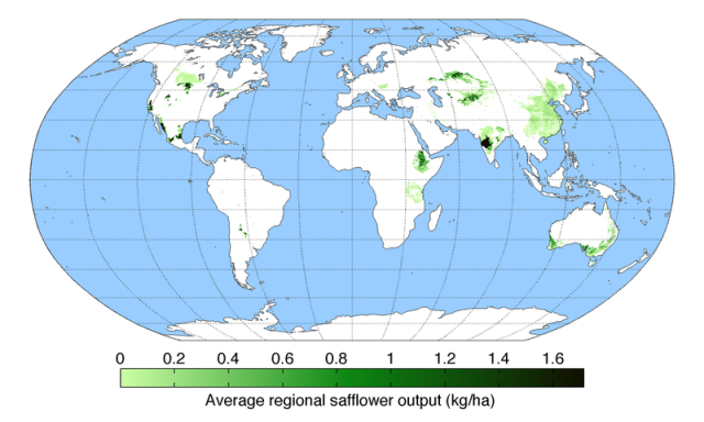 Daily Herb 102: Safflower - Do You Know the Origin of Rouge?