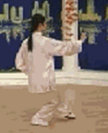 Comprehensive Guide to Tai Chi Movements: Exercise at Home!