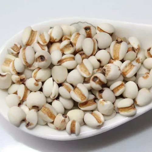 The Efficacy and Functions of Yi Yi Ren (Coix Seed): Promoting Diuresis, Resolving Dampness, Strengthening the Spleen, and Stopping Diarrhea