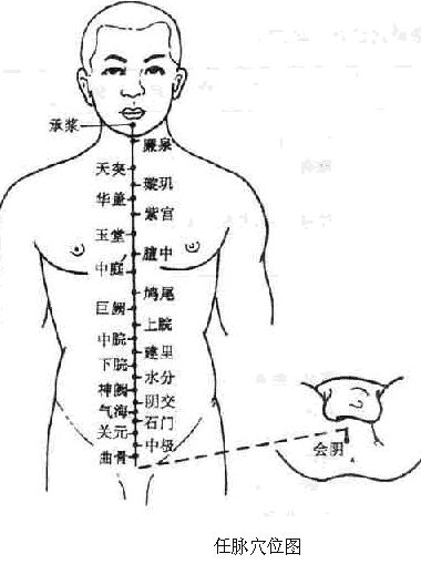 The Concept and Physiological Characteristics of the Eight Extraordinary Meridians