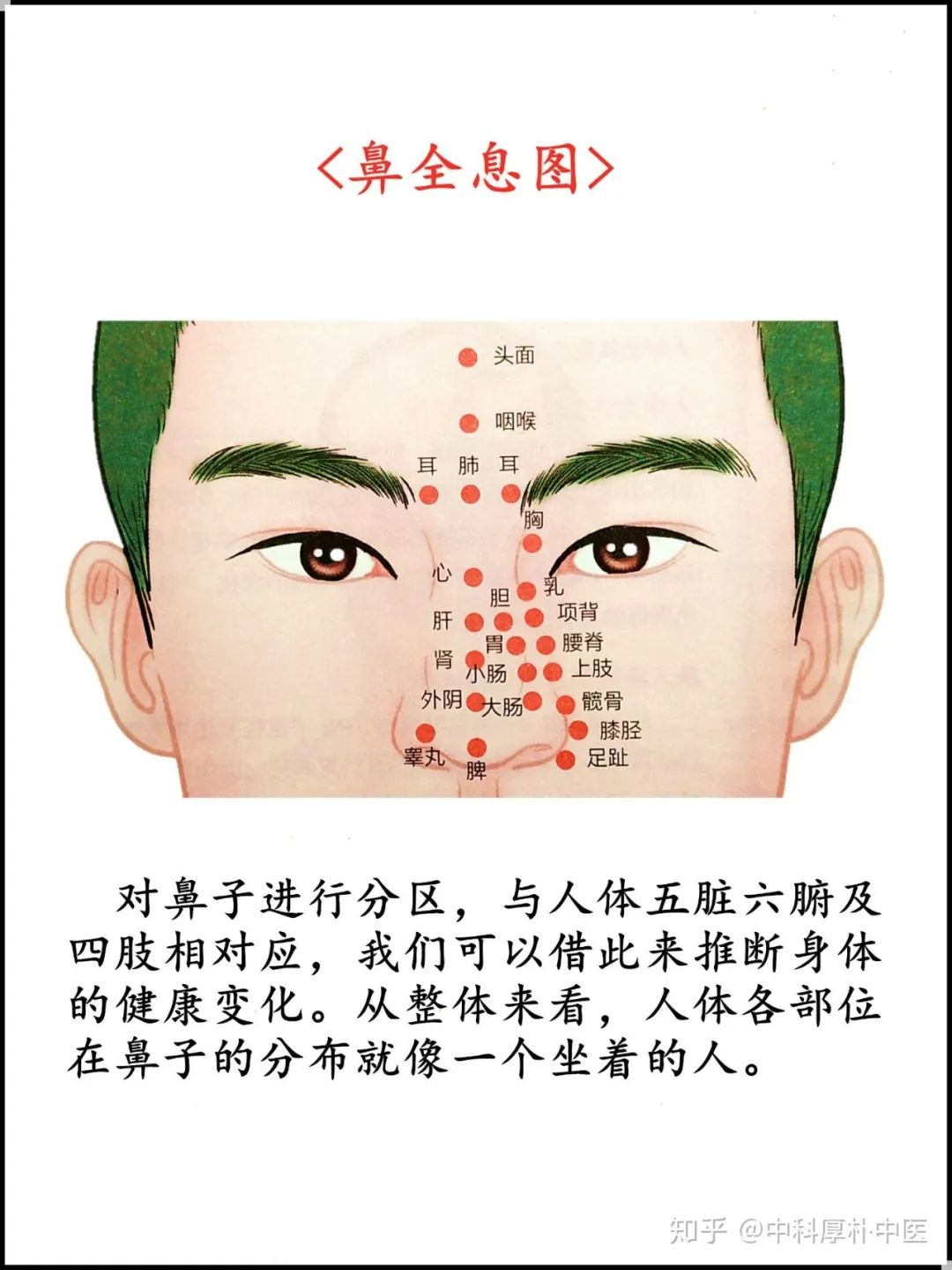Facial Diagnosis, Eye Diagnosis, Nasal Diagnosis, Ear Diagnosis, Lip Diagnosis, Tongue Diagnosis, and Tooth Diagnosis: A Comprehensive Collection
