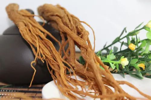 Nourishing the Heart: Angelica Sinensis (Dang Gui)