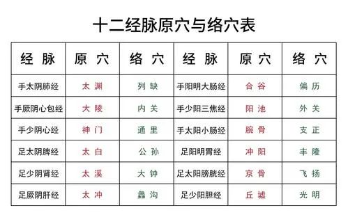 Fundamental Theories of Traditional Chinese Medicine: Jingbie, Luomai, Jingjin, and Pibu