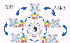 Comprehensive Guide to the Five Elements (Dozens of Five Elements You May Not Know)