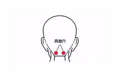 50 Common Acupuncture Points for Treating Various Ailments