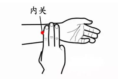 Five Organ Maintenance Strategies: Laying a Foundation for Health Throughout the Year!