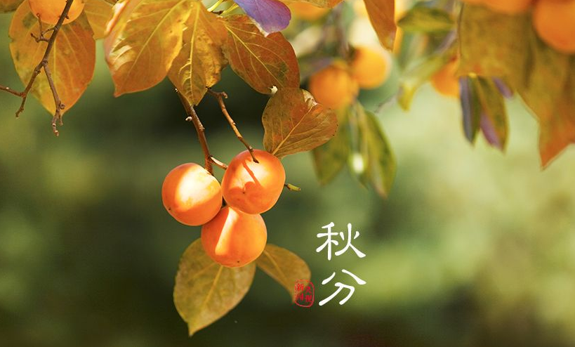 Traditional Chinese Medicine: Health Tips for Autumn Equinox