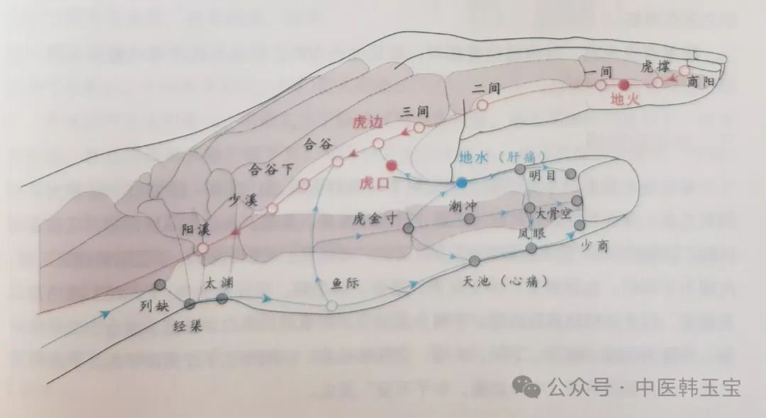 Meridian Theory I: Wu Men Meridian System - Yangming Meridian