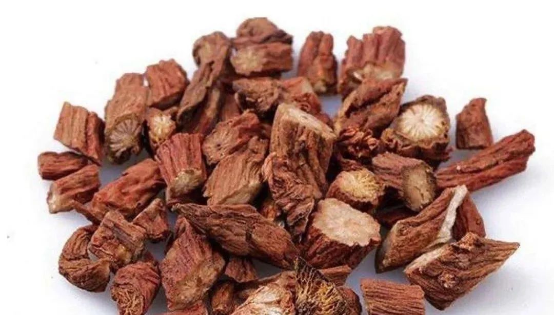 Traditional Chinese Medicine Herb: Dan Shen