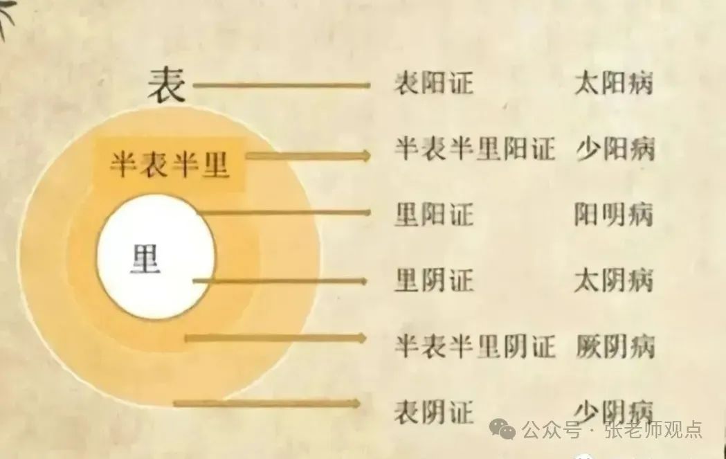 Differentiation of Eight Principles and Six Meridians (Liu Duzhou)