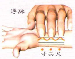 Understanding Floating Pulse in Traditional Chinese Medicine
