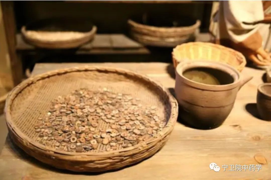 Daily Identification of Huang Lian (Coptis chinensis)