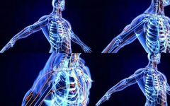 Comprehensive Diagram of Human Meridians (Recommended for Collection)