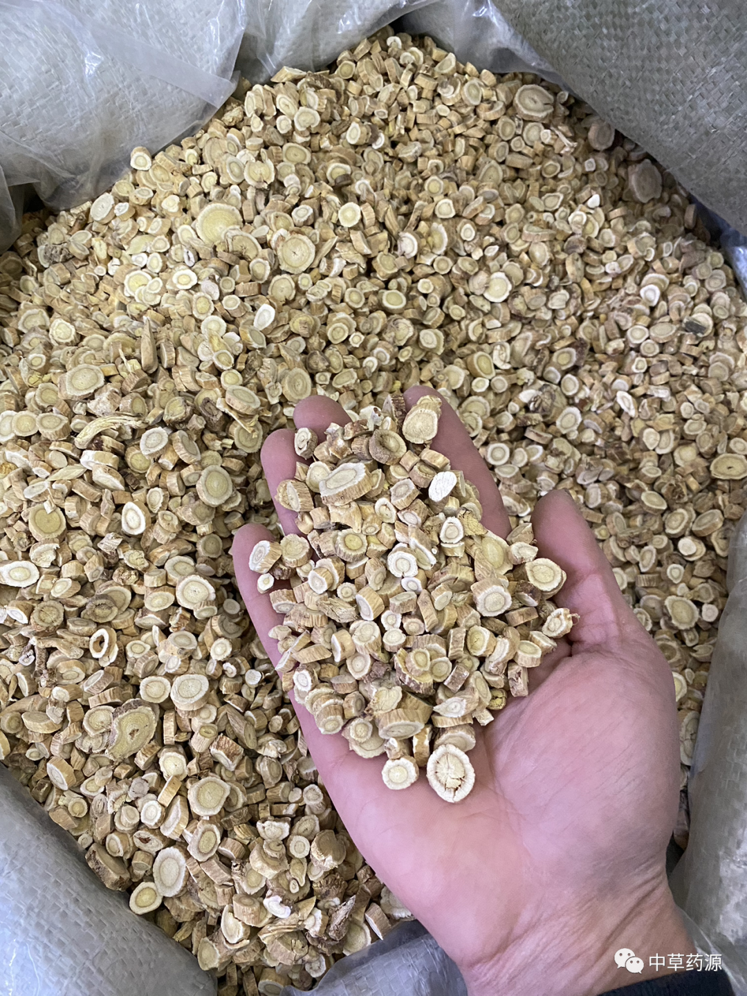 Appreciation of Traditional Chinese Medicine: Huangqi (Astragalus Root)