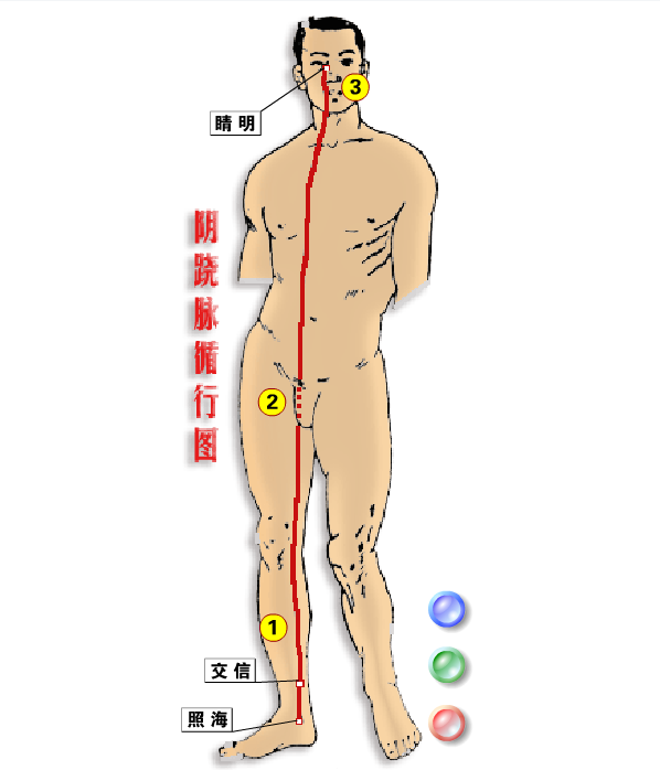 The Eight Extraordinary Meridians: A Major Remedy for Comprehensive Healing, Including Diagrams!