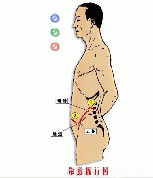 Comprehensive Summary of the Eight Extraordinary Meridians and Their Functions