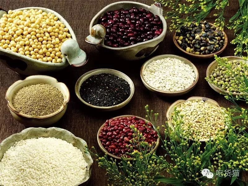 Understanding the Properties and Dietary Recommendations of Grains in TCM