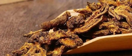The Role of Huang Lian (Coptis Chinensis) in Spring Health