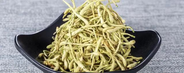 What Are the Benefits of Drinking Honeysuckle Tea? Key Points to Know to Avoid Misuse