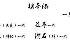 Classical TCM - Treatise on Febrile Diseases, Section 223