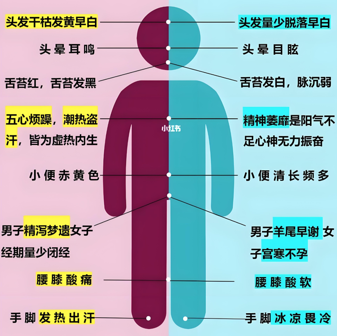 Understanding Yin Deficiency in Traditional Chinese Medicine