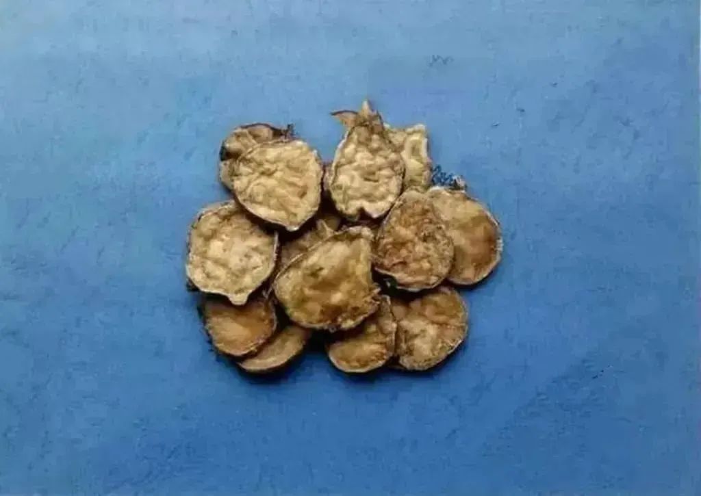 Understanding the Types of Fuzi (Aconite)