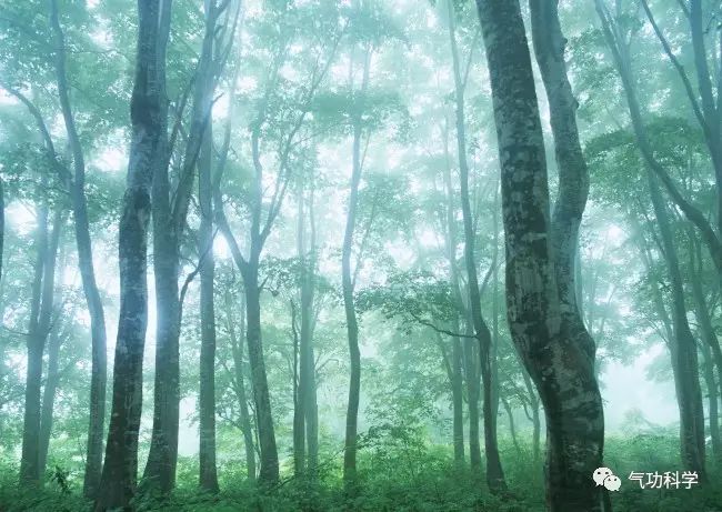 Exploring the Historical Development of Qigong (Part One) | The Era of Primitive Qigong