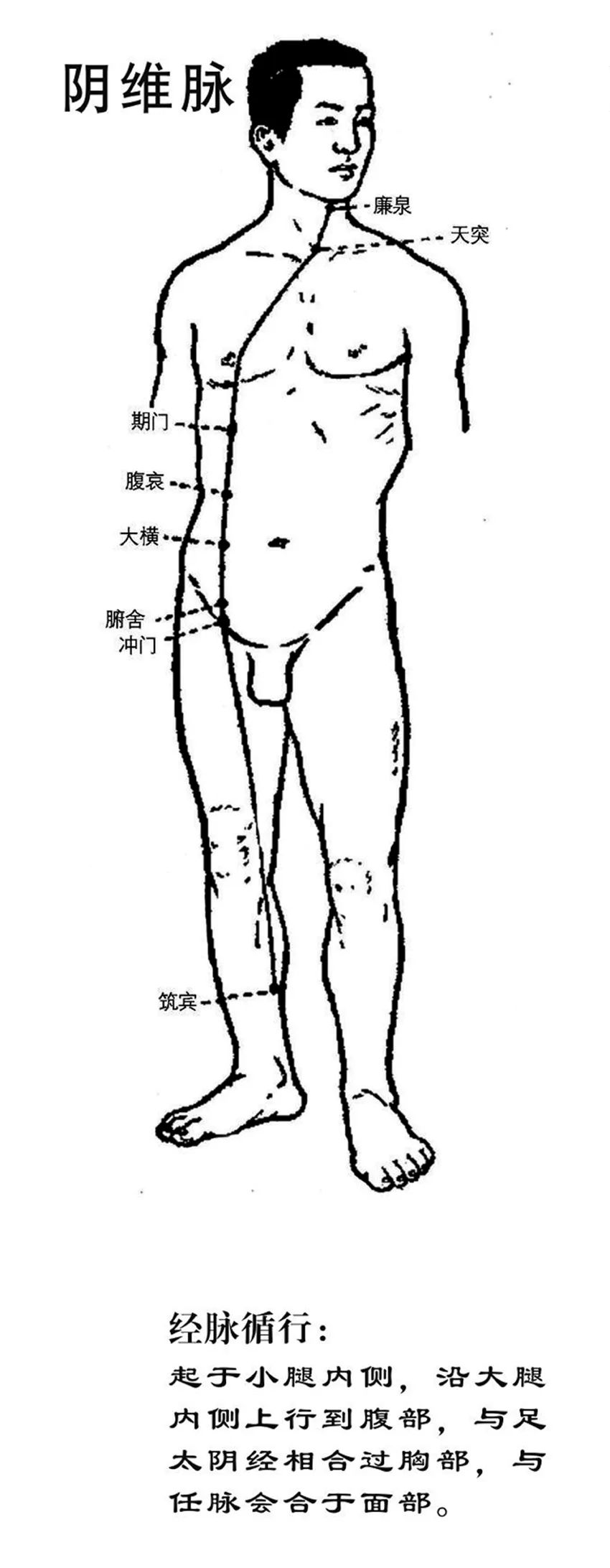 Exploring the Health Principles of Baduanjin through the Theory of the Eight Extraordinary Meridians