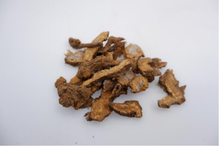 The Story of Cang Zhu (A Traditional Chinese Medicine Perspective with Dietary Recipes)