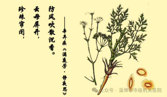 Exploring 'Bencao Gangmu' Through Poetry