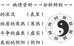 Illustrated Guide to the Eight Principles of Diagnosis in TCM