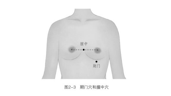 Luo Dalun: Liver Qi Stagnation Can Be Treated with Cupping
