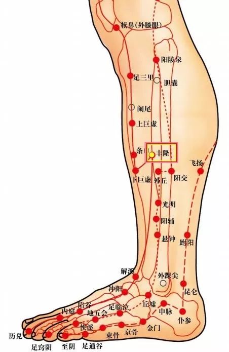Overcoming Phlegm-Damp Constitution with Moxibustion!