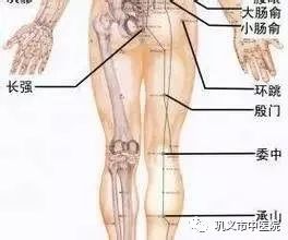 Moxibustion for Strengthening the Body and Enhancing Immunity