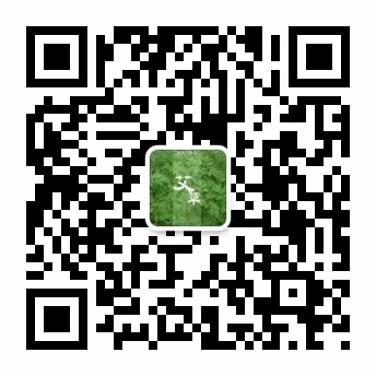 Key Points of Liver Qi Stagnation: Addressing Qi Stagnation through Liver Soothe and Depression Relief with Moxibustion!
