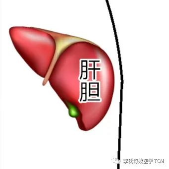 Tongue Diagnosis and the Five Organs Series Collection