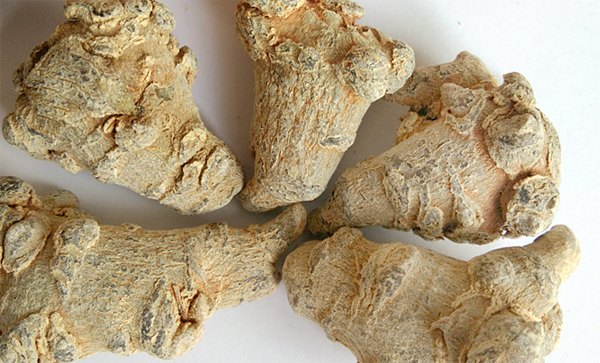 The Best Chinese Herbs for Activating Blood Circulation and Resolving Stasis