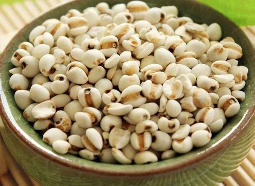 Traditional Chinese Medicine Health Preservation - Five Major Benefits of Coix Seed You Should Know!