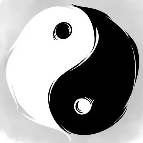 Dan Shen: A Powerful Herb for Activating Blood Circulation, Nourishing the Heart, and Calming the Mind