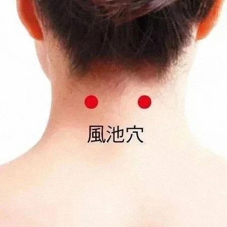 Moxibustion or Massage of Fengchi Point Can Improve Vision