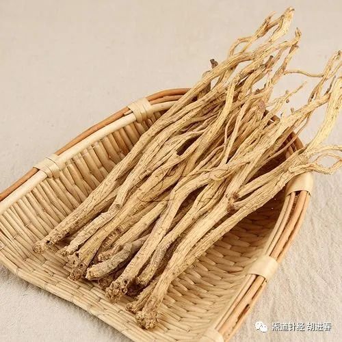 Daily Learning of a Chinese Herb: Dang Shen (Codonopsis)