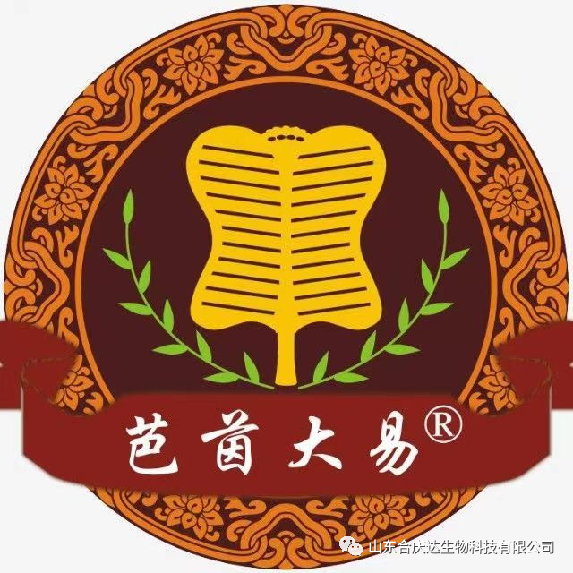 The Relationship Between the Five Elements and the Human Body: How to Regulate the Five Organs Through the Five Elements