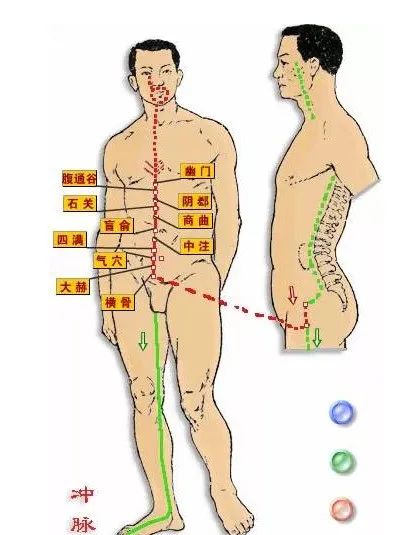 The Eight Extraordinary Meridians: A Major Remedy for Comprehensive Healing, Including Diagrams!